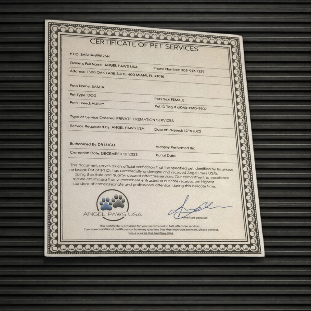 Pet memorial certificate and keepsake