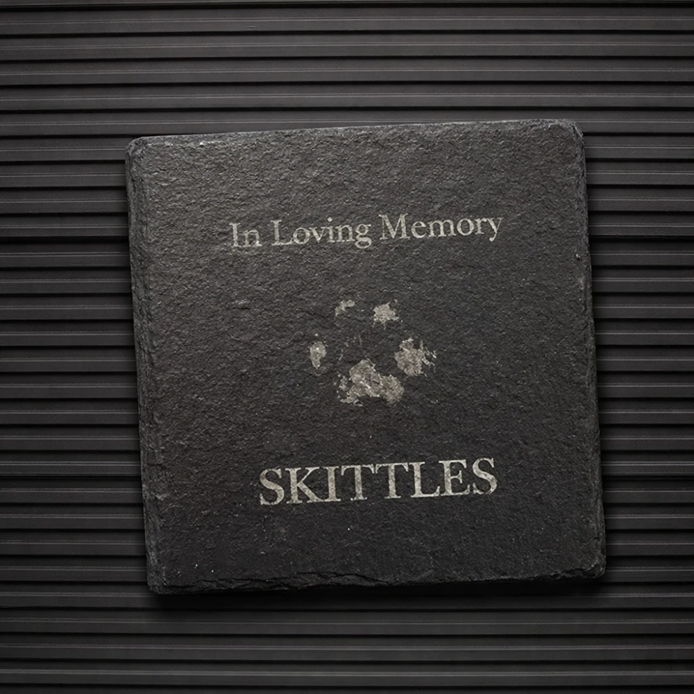 Paw Print On Stone Paw Print On Stone