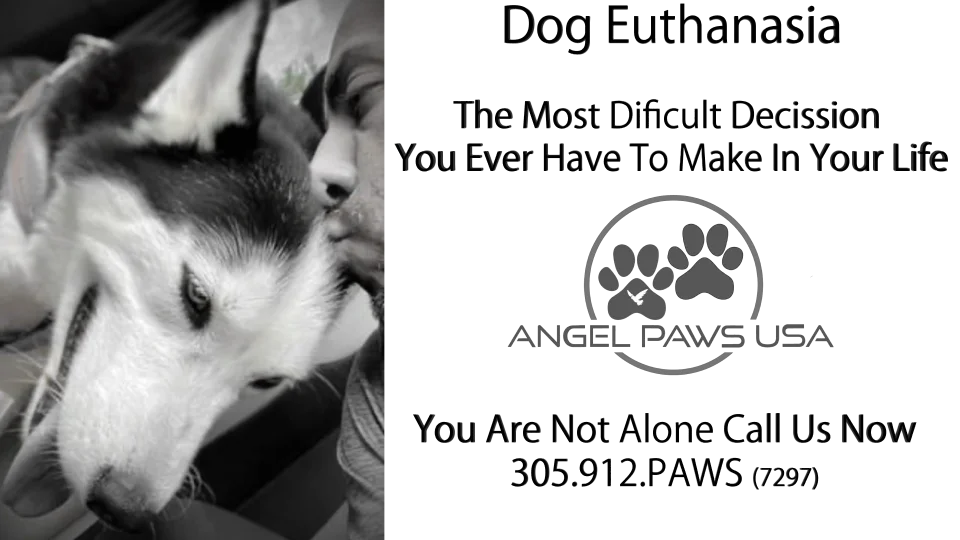 Veterinarian comforting dog during in-home euthanasia